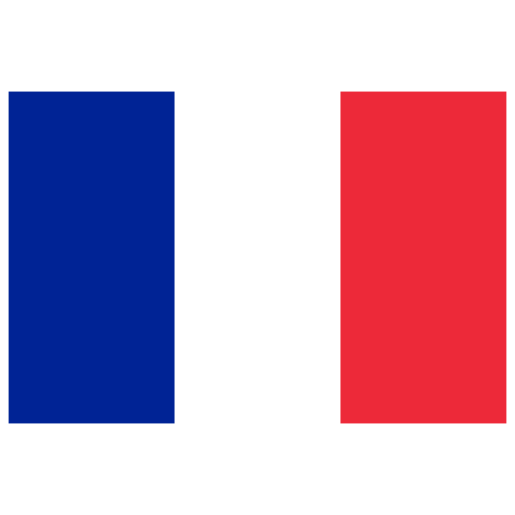 french flag icon